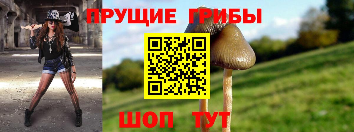 Псилоцибиновые грибы прущие грибы  Вход с VPN  Галлюциногенные грибы мицелий  Новокузнецк 
