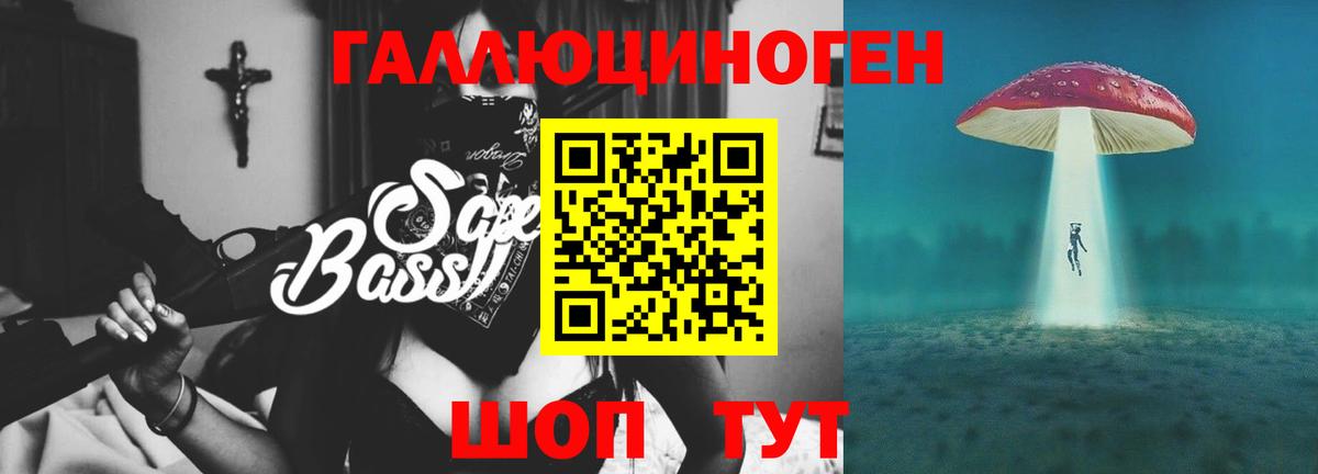 Псилоцибиновые грибы Psilocybe Новокузнецк